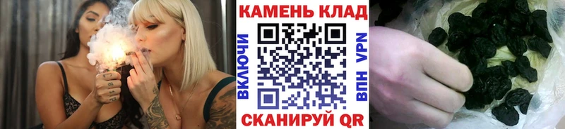 Купить  Завитинск  ГАШ Изолятор 