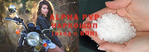 молекула духа Каменногорск