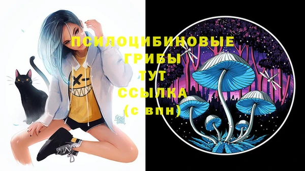 молекула духа Каменногорск