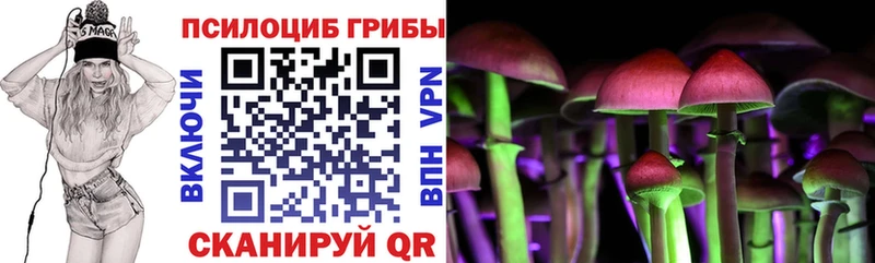 Купить  Завитинск  Галлюциногенные грибы GOLDEN TEACHER 